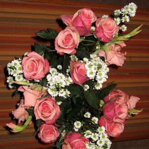 Meet your Posher, Vera